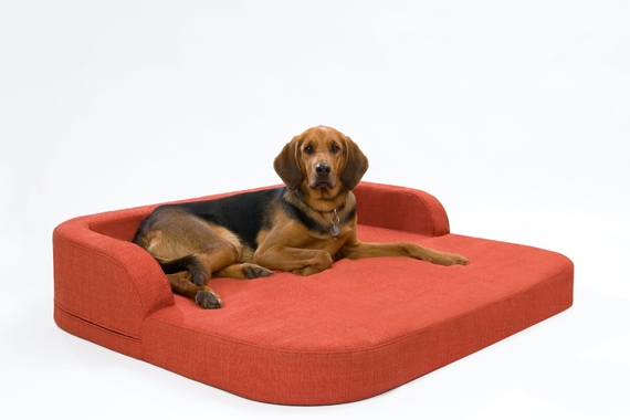 Hunde Infos & Hunde News @ Hunde-Info-Portal.de | DoggyBed Hunde Komfortbetten