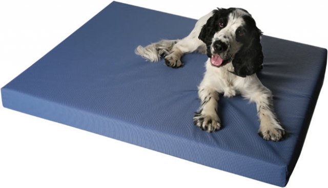 Hunde Infos & Hunde News @ Hunde-Info-Portal.de | DoggyBed Hunde Komfortbetten