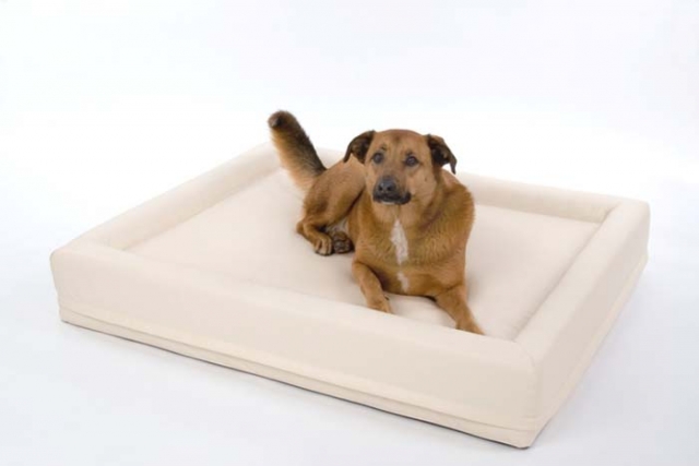 Hunde Infos & Hunde News @ Hunde-Info-Portal.de | DoggyBed Hunde Komfortbetten