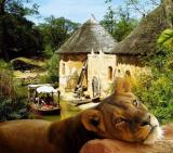 Zoo-News-247.de - Zoo Infos & Zoo Tipps | Foto: Sambesi-Bootsfahrt durch die afrikanische Savanne.