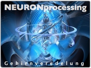 E-Learning Infos & E-Learning Tipps @ E-Learning-Infos.de | NEURONprocessing Gesellschaft bR