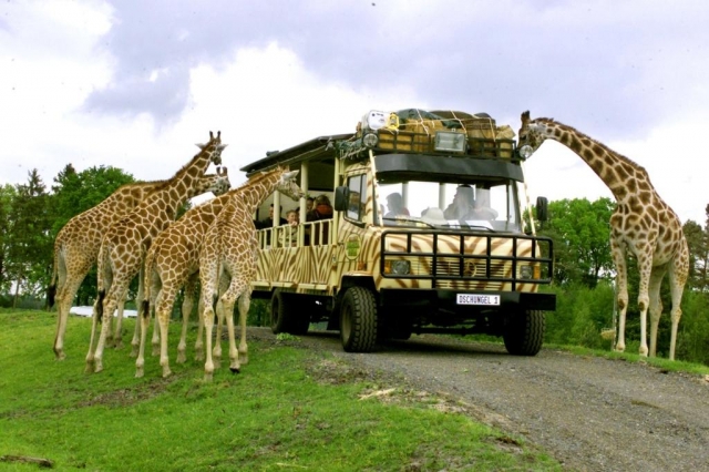 Auto News | Serengeti-Park Hodenhagen