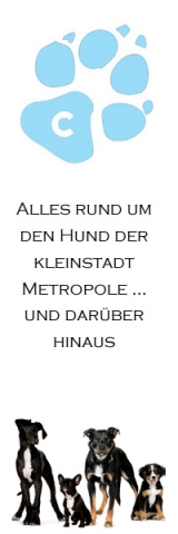 Auto News | Chemnitz Hunde