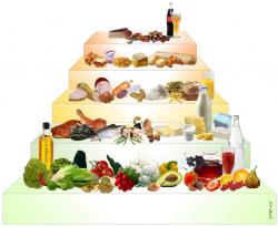Nahrungsmittel & Ernhrung @ Lebensmittel-Page.de | Foto: Von welchen Lebensmitteln wieviel? Das zeigt die neue FET-Ernhrungspyramide.