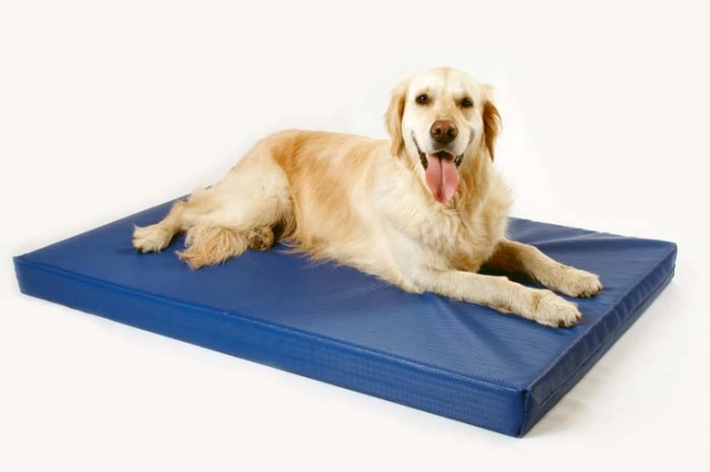 Hunde Infos & Hunde News @ Hunde-Info-Portal.de | DoggyBed Hunde Komfortbetten