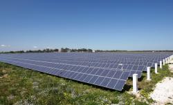 Alternative & Erneuerbare Energien News: Foto: Das bis dato grte Projekt von Evergreen Solar: Die 5-MW-Anlage in Apulien ist fertiggestellt.