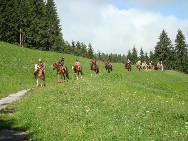 Deutsche-Politik-News.de | Tourismusinformation Wildschnau