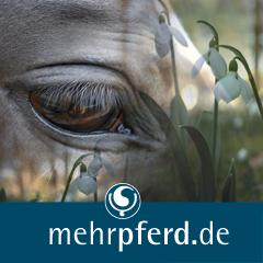 Foto: mehrpferd.de Der Klick zu den Pferden. |  Landwirtschaft News & Agrarwirtschaft News @ Agrar-Center.de