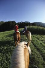 Foto: Ausritt durch Sdtirols schne Bergwelt. Bildnachweis: Sdtirol Marketing/Alessandro Trovati. |  Landwirtschaft News & Agrarwirtschaft News @ Agrar-Center.de