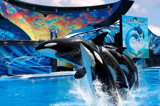 News - Central: SeaWorld Parks & Entertainment