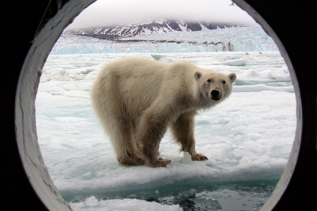 Deutsche-Politik-News.de | Polar-Kreuzfahrten