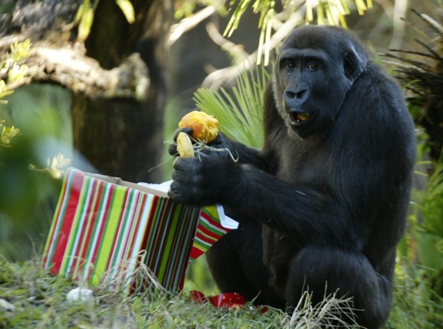 Tier Infos & Tier News @ Tier-News-247.de | SeaWorld Parks & Entertainment