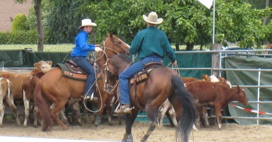 CMS & Blog Infos & CMS & Blog Tipps @ CMS & Blog-News-24/7.de | Cowboy's Heaven Ranch