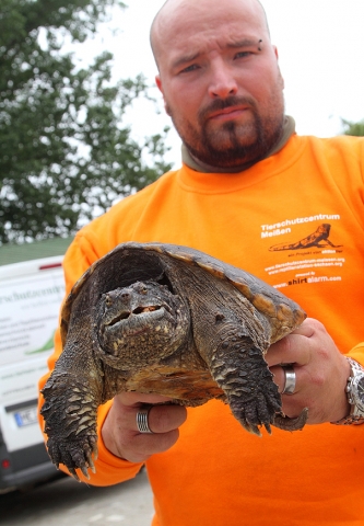 Zoo-News-247.de - Zoo Infos & Zoo Tipps | aktion tier - menschen fr tiere e.V.