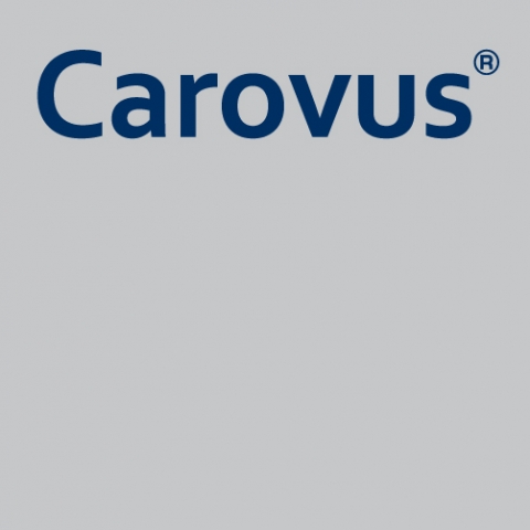 Deutsche-Politik-News.de | Carovus Finance GmbH