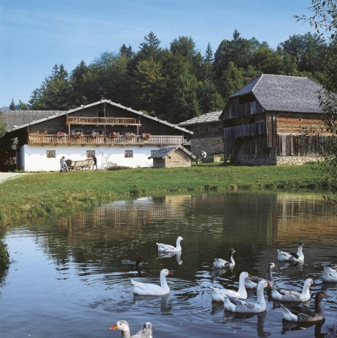 Deutsche-Politik-News.de | Der Bayerische Wald