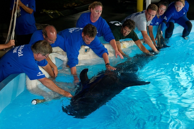 Tier Infos & Tier News @ Tier-News-247.de | SeaWorld Parks & Entertainment