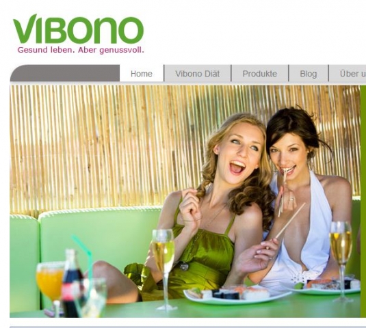 CMS & Blog Infos & CMS & Blog Tipps @ CMS & Blog-News-24/7.de | Vibono GmbH