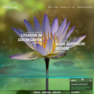 Pflanzen Tipps & Pflanzen Infos @ Pflanzen-Info-Portal.de | Neue Digitale / Razorfish