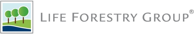 Flatrate News & Flatrate Infos | Life Forestry Switzerland AG