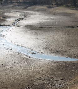 Foto: Drre tritt hauptschlich in Sdostasien als Folge des El Nino auf (Foto: Proplanta). |  Landwirtschaft News & Agrarwirtschaft News @ Agrar-Center.de