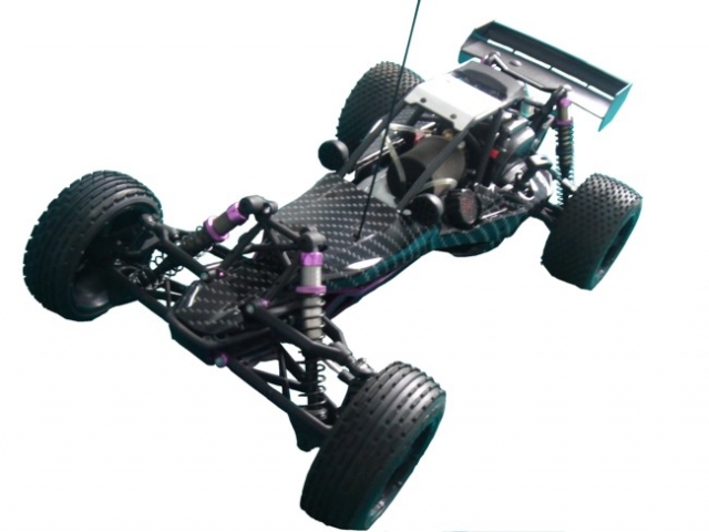 Tier Infos & Tier News @ Tier-News-247.de | RC-Fellas