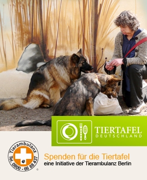 Tier Infos & Tier News @ Tier-News-247.de | Tierambulanz Berlin Brandenburg