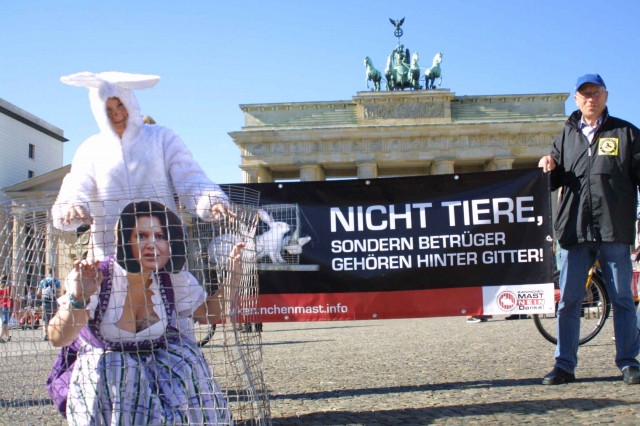 Tier Infos & Tier News @ Tier-News-247.de | Deutscher Tierhilfe Verband e.V.