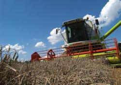 Foto: Getreideernte (Foto: Proplanta). |  Landwirtschaft News & Agrarwirtschaft News @ Agrar-Center.de