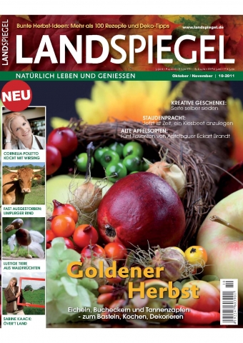 Auto News | LANDSPIEGEL -  Magazin