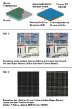 Freie Fotos & Freie Bilder @ Freie-Images.de | Foto: Foveon hat mit der Foveon X3-Technologie einen CMOS-Sensor entwickelt, welcher eine gleichzeitige Erfassung des gesamten RGB-Signals f�r jedes Pixel erlaubt.