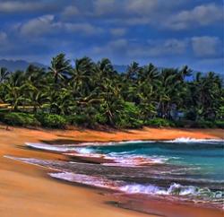 Landleben-Infos.de | Foto: Strand auf Hawaii (c) NJ Scott, Flickr, Creative Commons License.