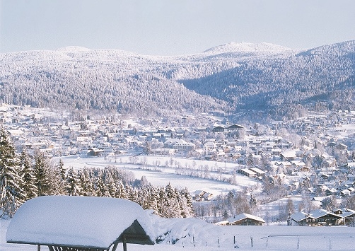 Tickets / Konzertkarten / Eintrittskarten | Bodenmais Tourismus & Marketing GmbH