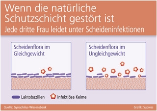 Gesundheit Infos, Gesundheit News & Gesundheit Tipps | Supress