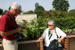 SeniorInnen News & Infos @ Senioren-Page.de | Senioren-Page.de - nicht nur fr Senioren & Seniorinnen. Foto: Gemse- und Staudenflchen lassen sich bequem als Hochbeete anlegen und sind so fr ltere Menschen deutlich einfacher zu nutzen. Bild: Gartenberatung.info.