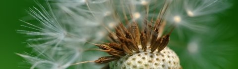 finanzierung-247.de - News, Infos & Tipps | Vantargis Factoring GmbH