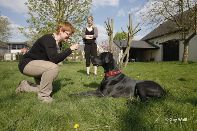 Deutsche-Politik-News.de | Hundeschule KYNOS