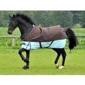 Tier Infos & Tier News @ Tier-News-247.de | Tierbedarf Hosenfeld