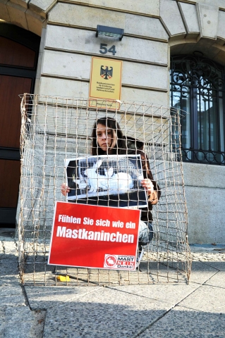 Deutsche-Politik-News.de | Deutscher Tierhilfe Verband beteiligt sich an Tierschutz-Aktion