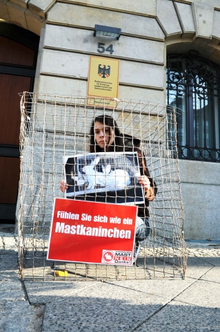 Sport-News-123.de | Deutscher Tierhilfe Verband beteiligt sich an Tierschutz-Aktion