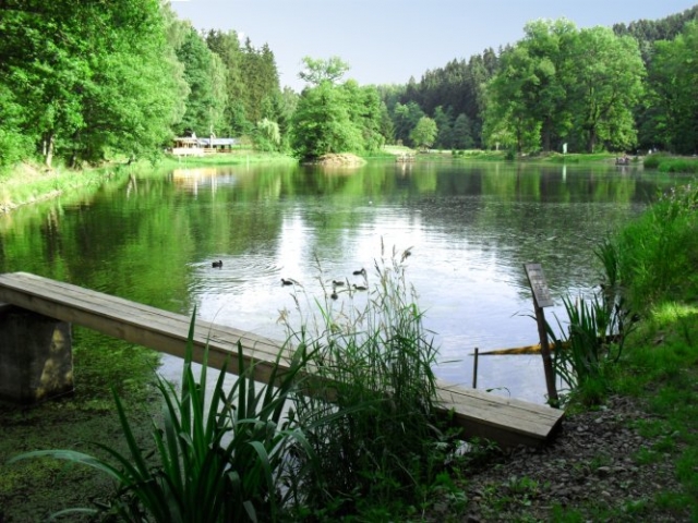 Tier Infos & Tier News @ Tier-News-247.de | Der Floßteich