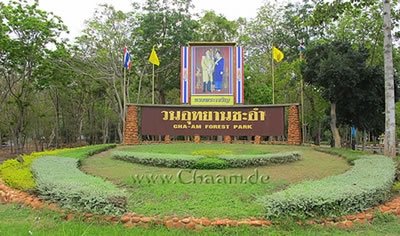 Thailand-News-247.de - Thailand Infos & Thailand Tipps | Bild vom Forest Park in Cha Am