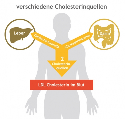 Gesundheit Infos, Gesundheit News & Gesundheit Tipps | Rotes Reismehl bei erhhtem Cholesterin