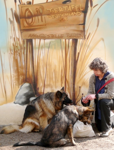 Tier Infos & Tier News @ Tier-News-247.de | Frau sitzt mit Hund vor der Ausgabestelle der Tiertafel