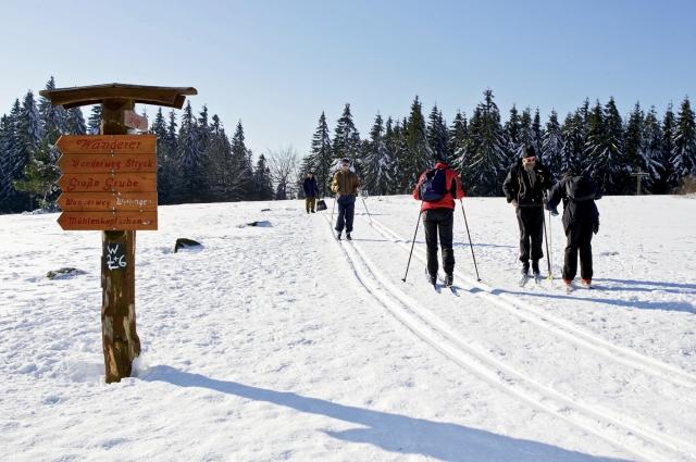 Deutsche-Politik-News.de | Loipe auf dem Ettelsberg in Willingen