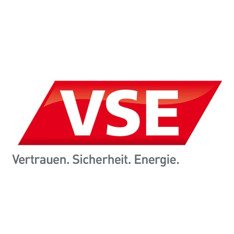 Deutsche-Politik-News.de | Die Internetprsenz der VSE AG berarbeitet triplesense grundlegend.