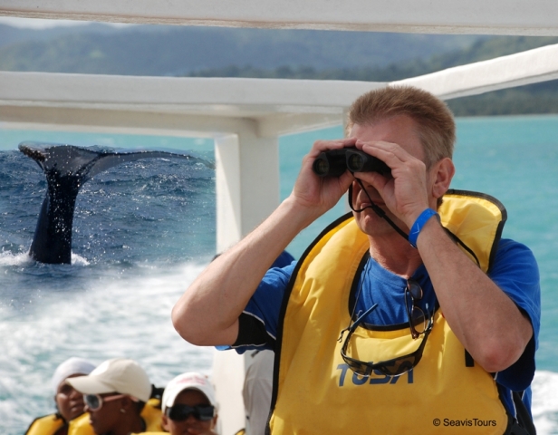 Hotel Infos & Hotel News @ Hotel-Info-24/7.de | Whale Watching mit SeavisTours