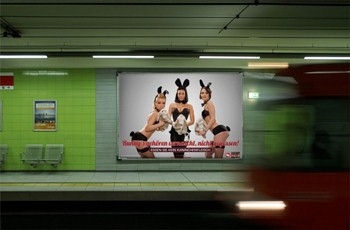Koeln-News.Info - Kln Infos & Kln Tipps | Heiße Bunnys plakatieren fr den Tierschutz - Kaninchenmast, nein danke 