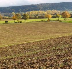 Agrar-Center.de - Agrarwirtschaft & Landwirtschaft. Foto: Auch Ackerschlge knnen mit dem neuen Landvermessungsportal erfasst werden (Foto: Proplanta). |  Landwirtschaft News & Agrarwirtschaft News @ Agrar-Center.de