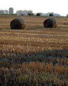 Landwirtschaft News & Agrarwirtschaft News @ Agrar-Center.de | Foto: Die menschliche Landdominanz und mgliche Konsequenzen fr die Zukunft werden nun erstmals ber einen Zeitraum von drei Jahrhunderten analysiert.